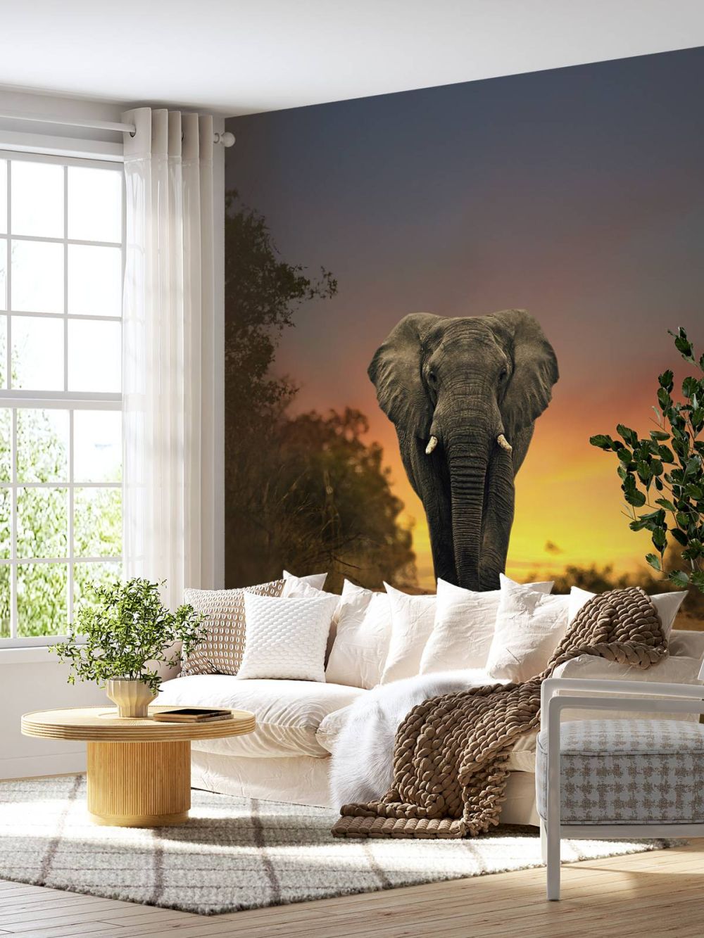 Olifant in de zonsondergang