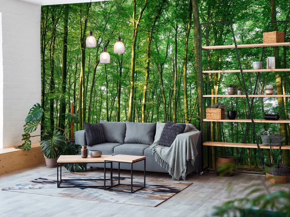 Groen bos 