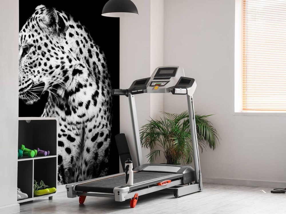 Dark Leopard