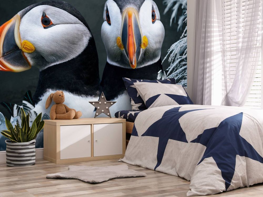 Atlantic Puffins