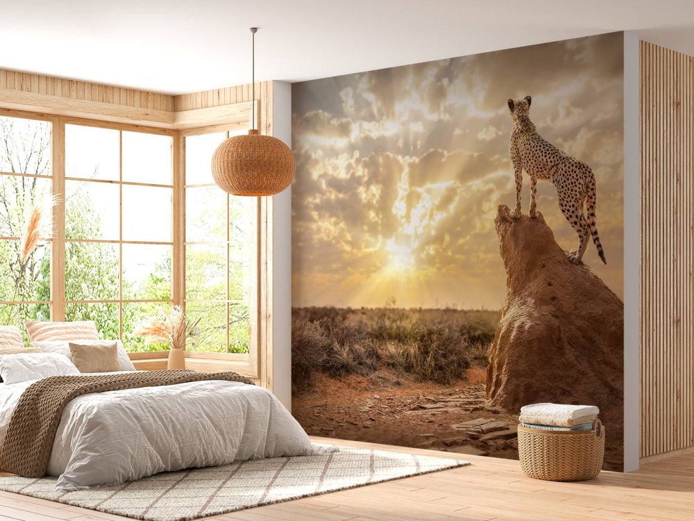 Sundown Cheetah