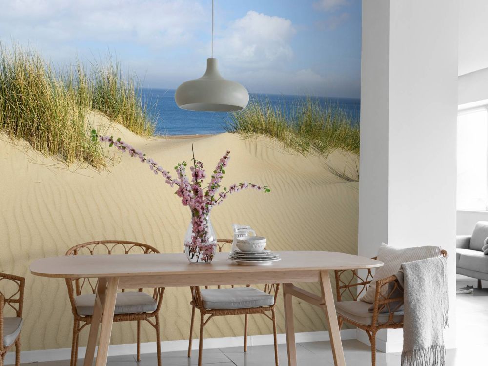 Duin doorgang naar het strand