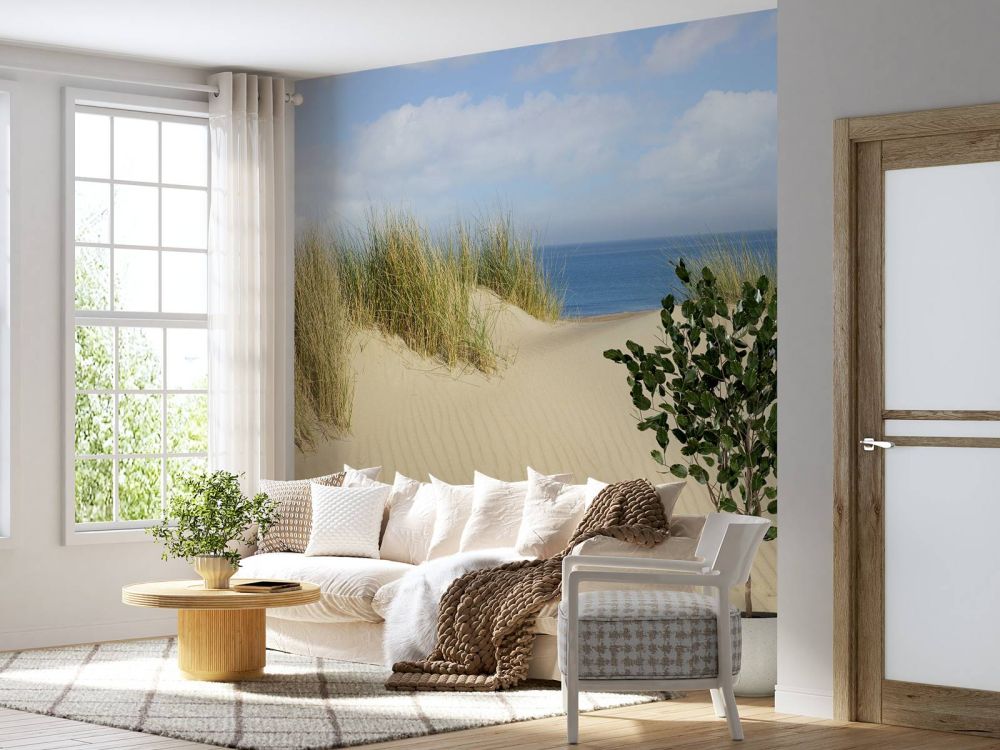 Duin doorgang naar het strand