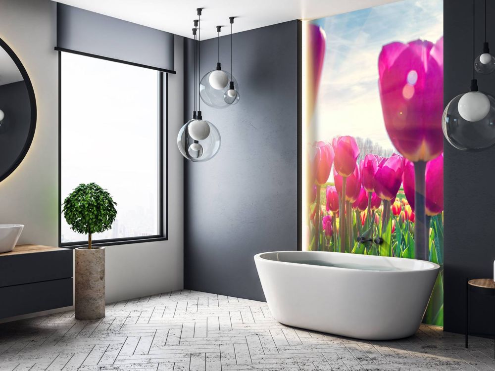 Tulpenveld roze
