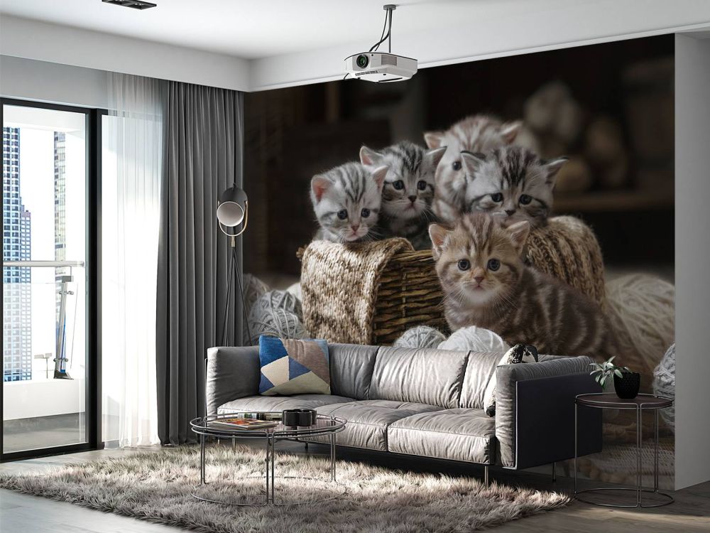 Kittens met wol