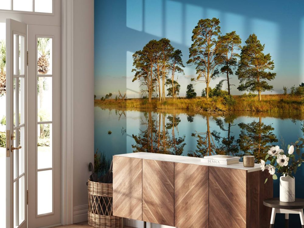 Weerspiegeling in bosmeertje