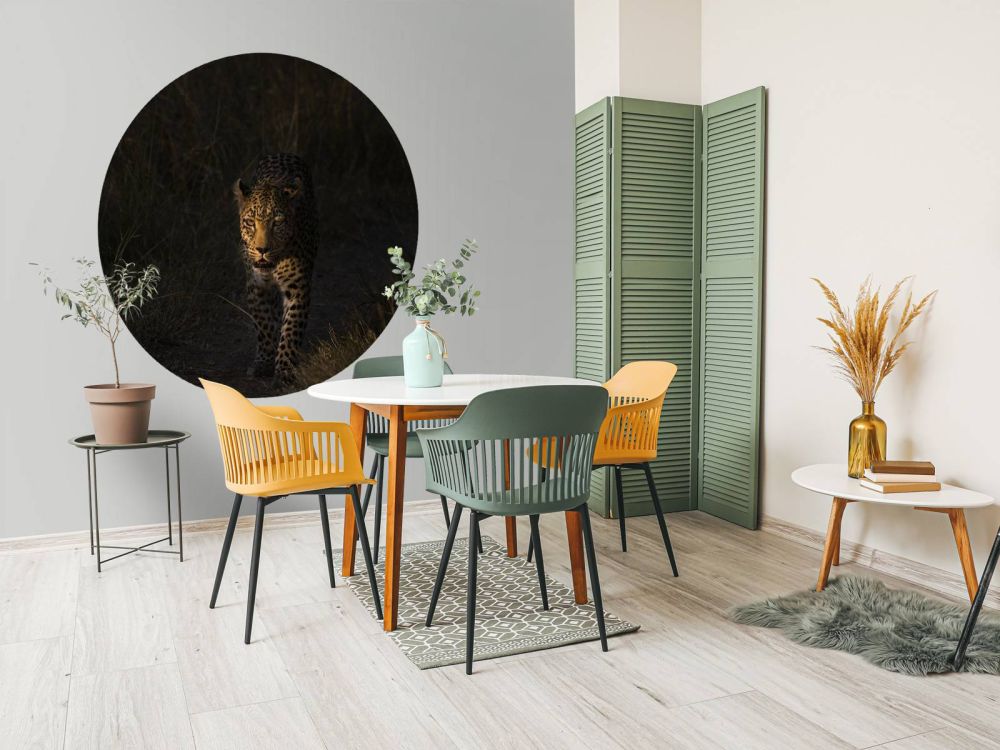 Luipaard met zonsondergang