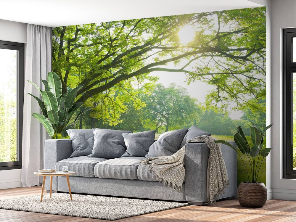 Prachtige boom met groen gras