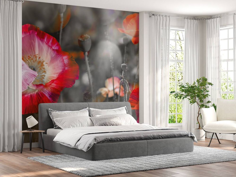 Klaprozen in zwart, wit, rood