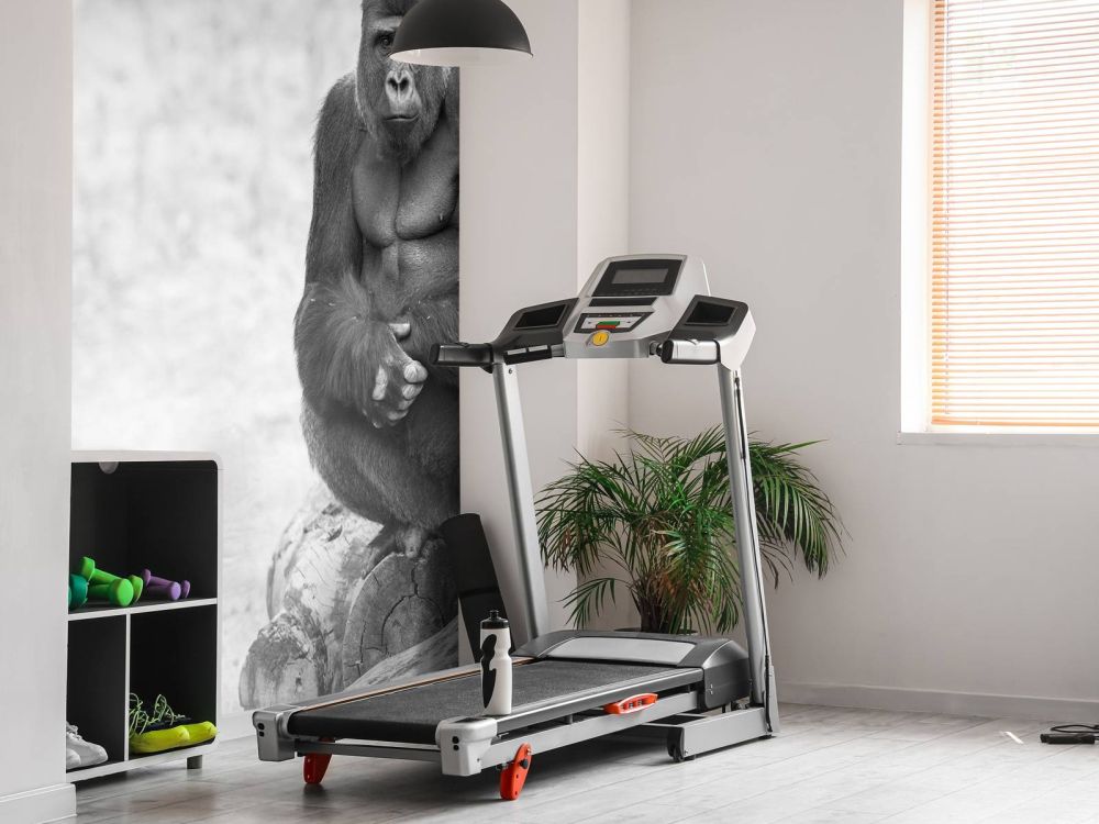 Grote gorilla