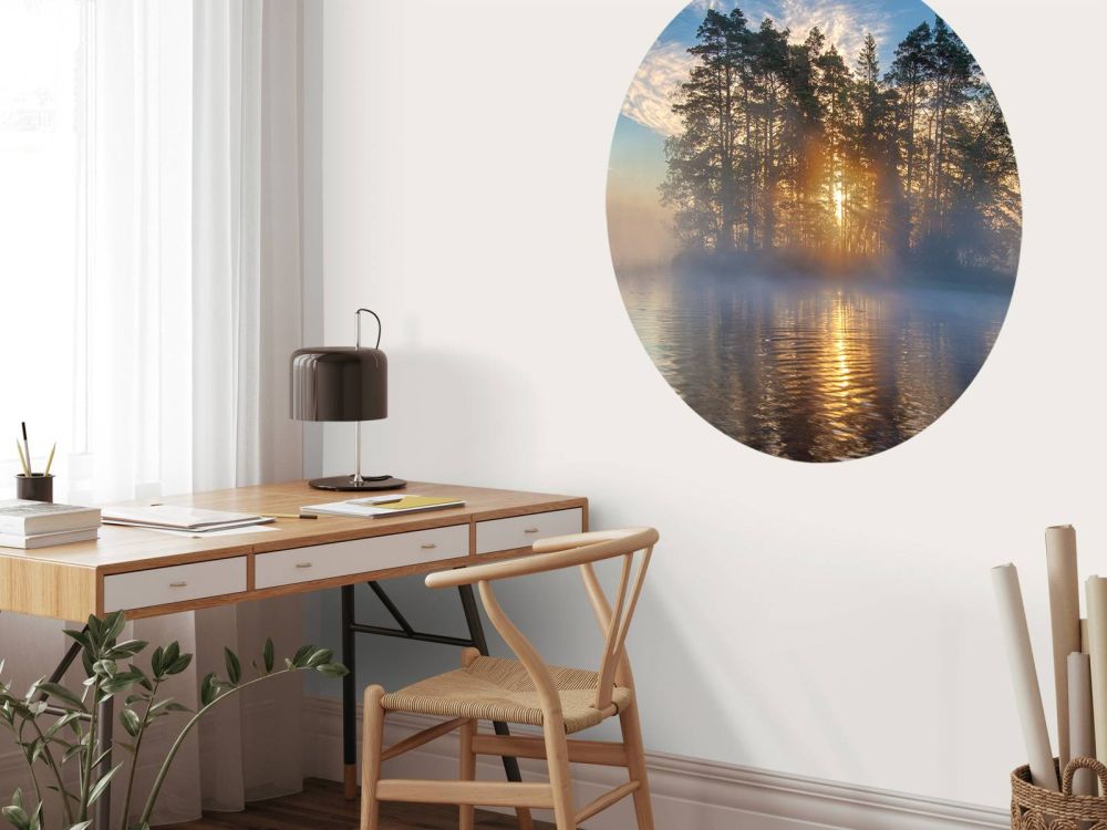 Morning light