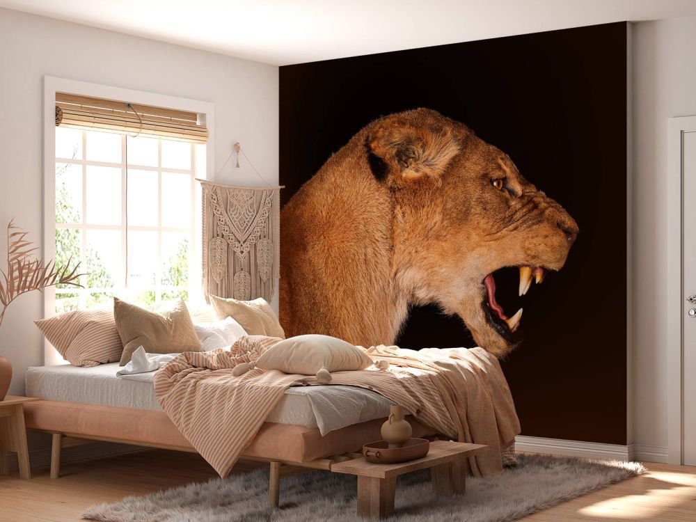 Lioness side view