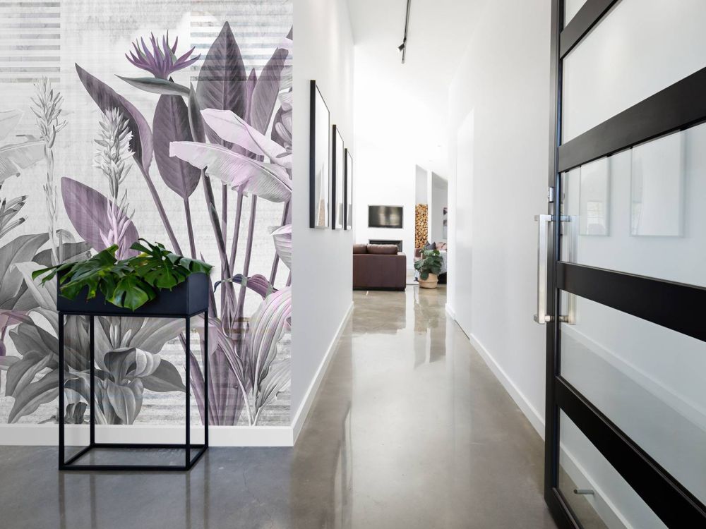 Dreams and Tropics 5