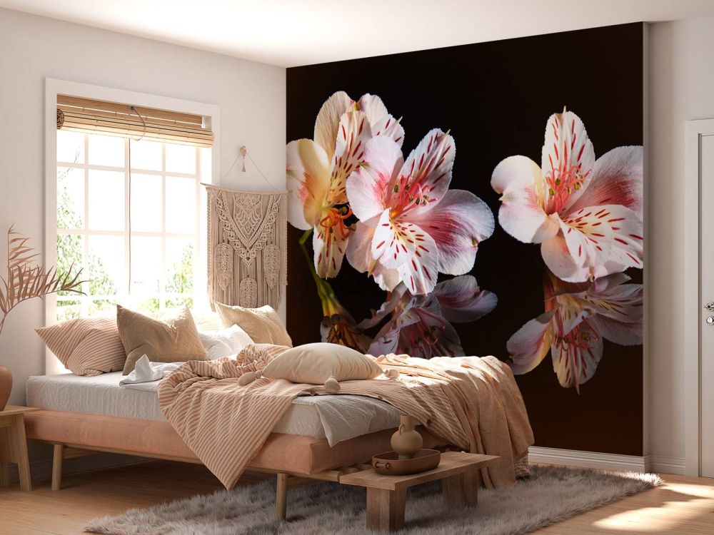 Alstroemeria bloemen met reflectie