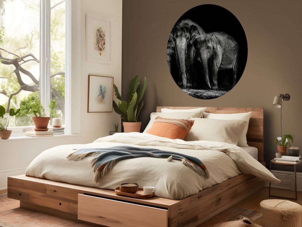 Zwart wit foto van olifanten