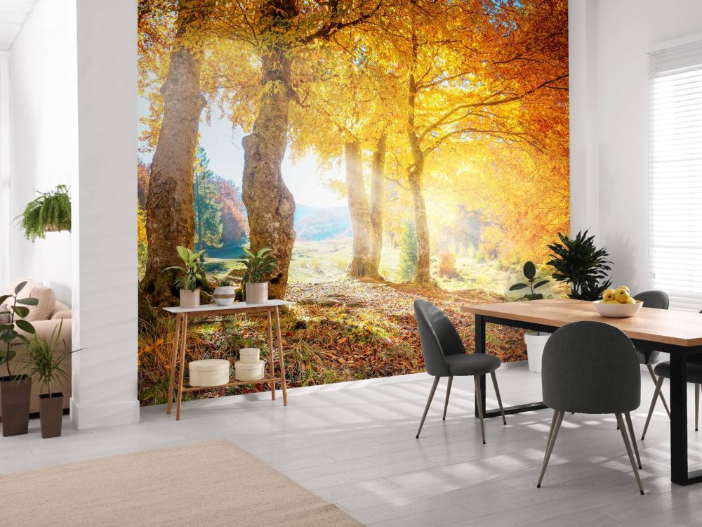 Warm herfstlandschap