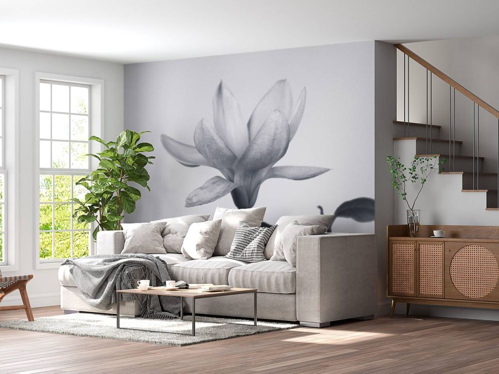 Mooie magnolia