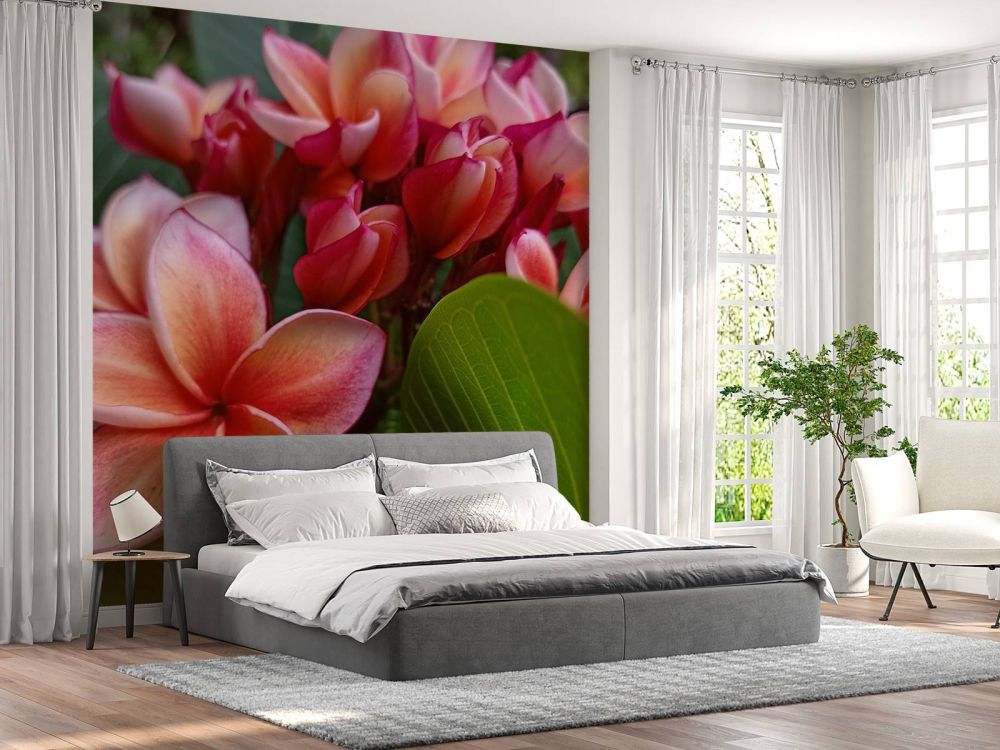 Tropische bloemen
