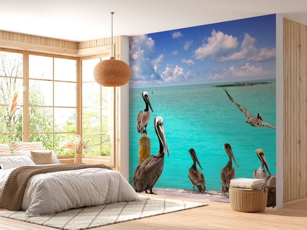 Caribische pelikaan