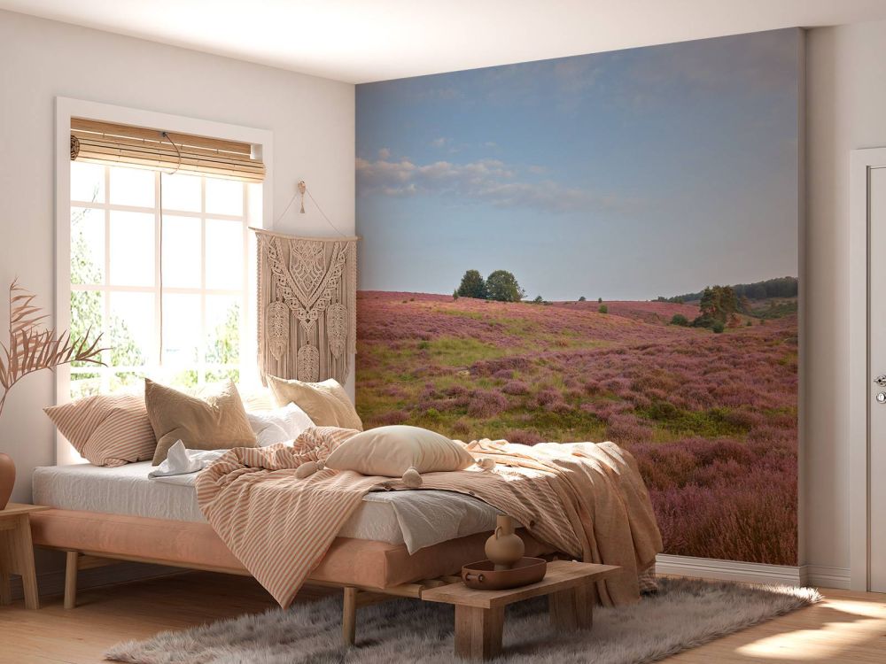 Bloeiende heide
