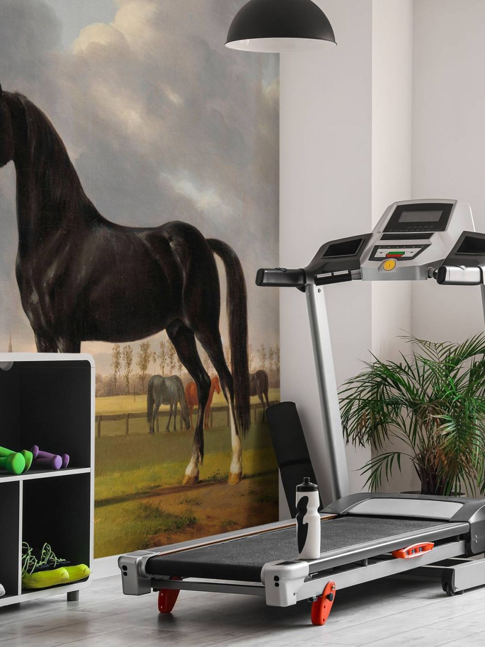 Fotobehang paard. De harddraver De Vlugge
