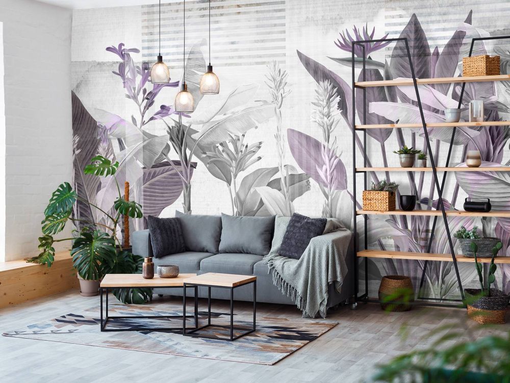 Dreams and Tropics 5