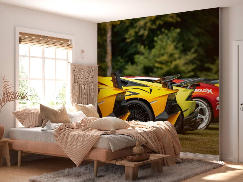 Supercar collectie iIn natuur