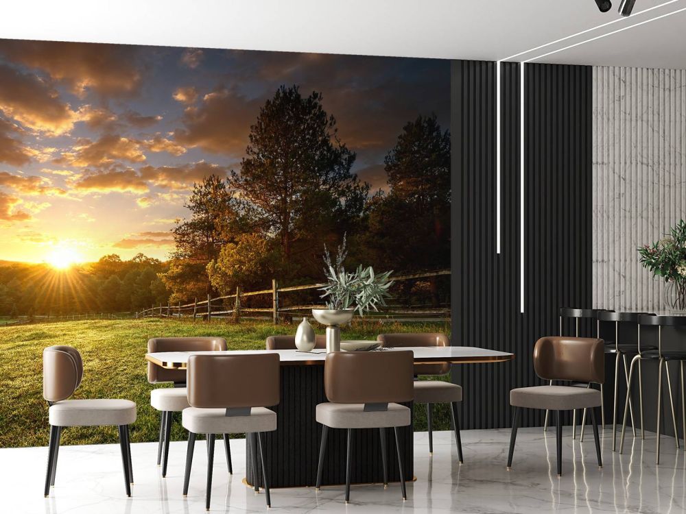 Weiland met zonsondergang