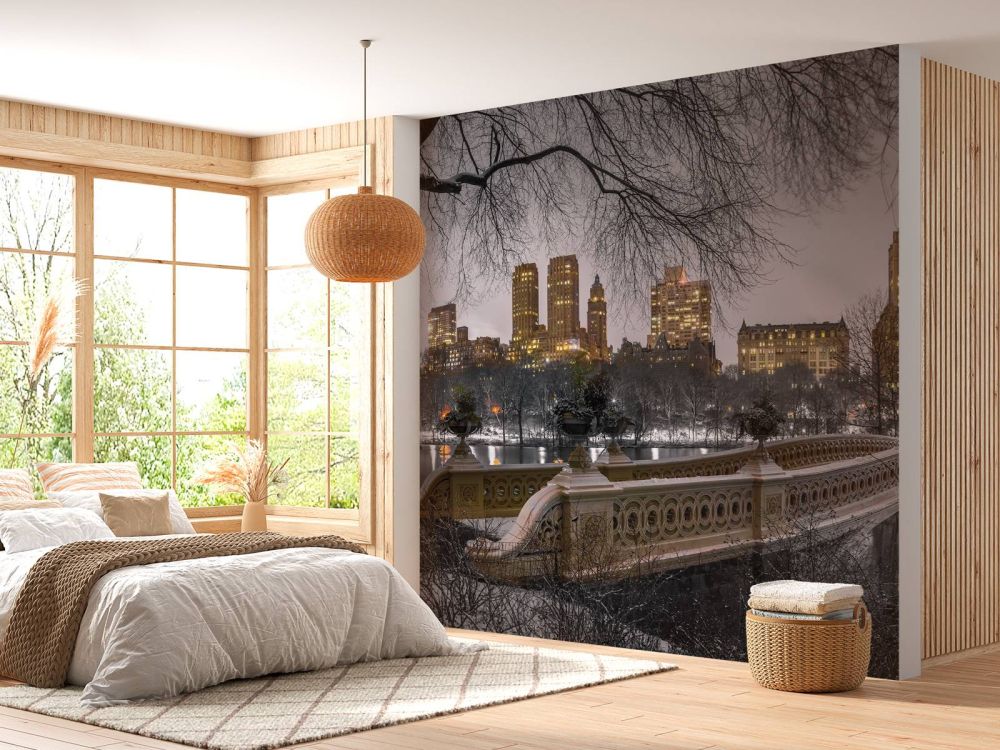 Central park en Manhattan