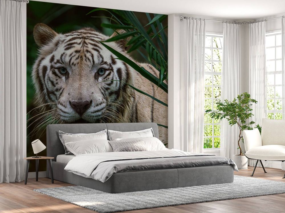 Witte tijger