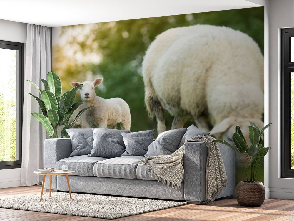 Moeder schaap met lammetjes