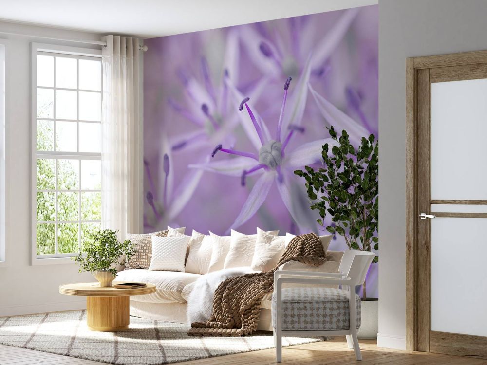 Paarse allium bloemen