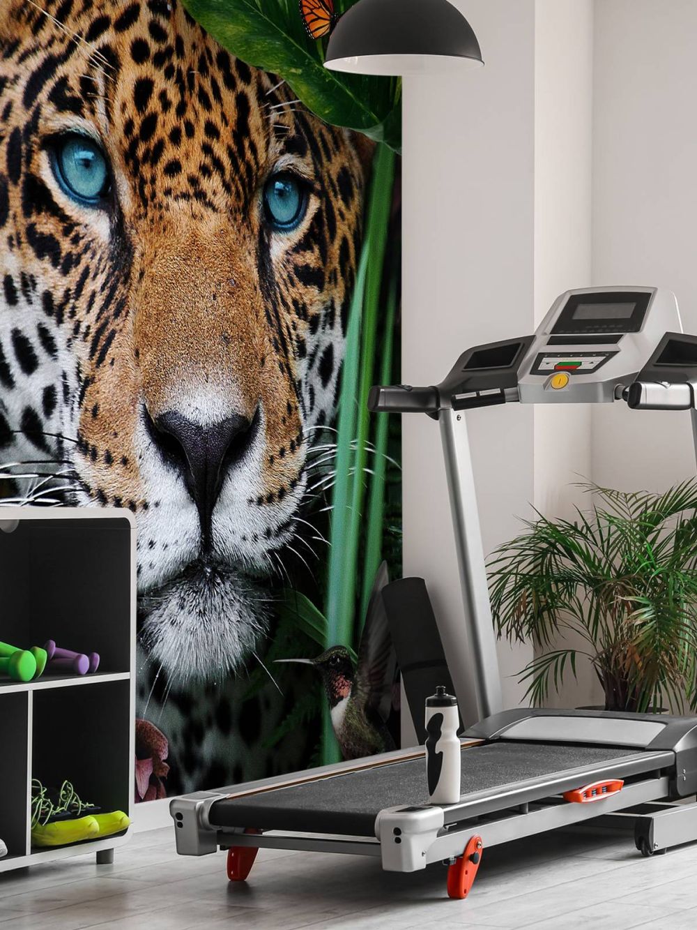 Jungle Leopard