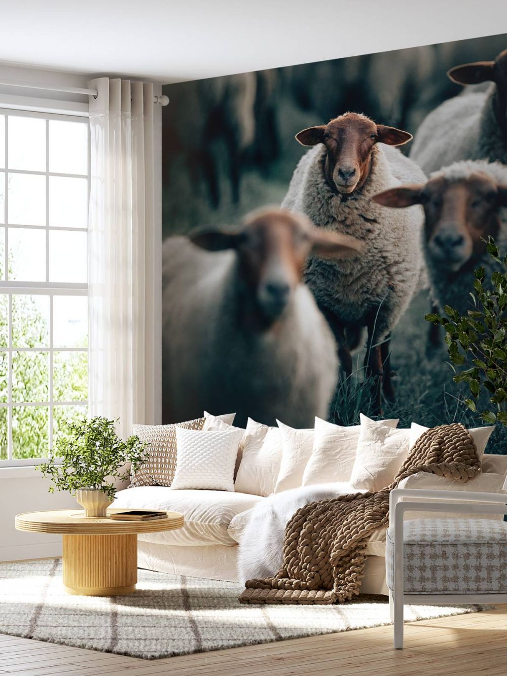 Blije schapen