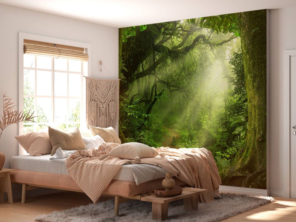 Jungle met zonnestralen