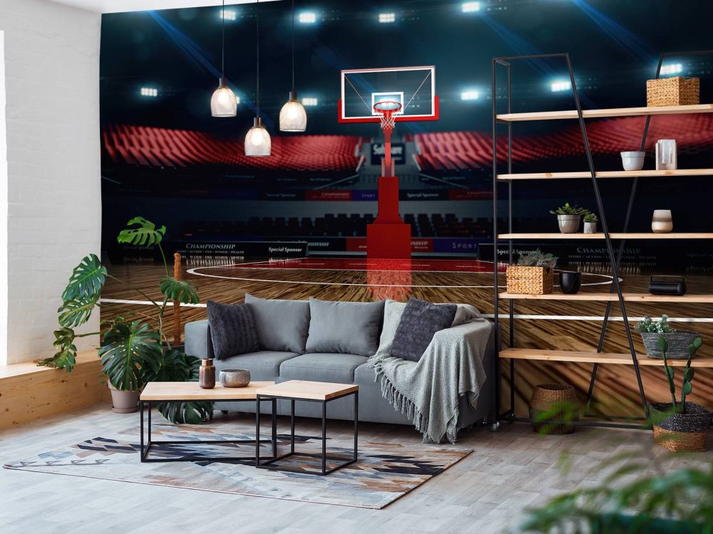 Basketbal arena