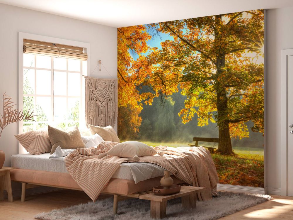 Boom in herfstkleuren