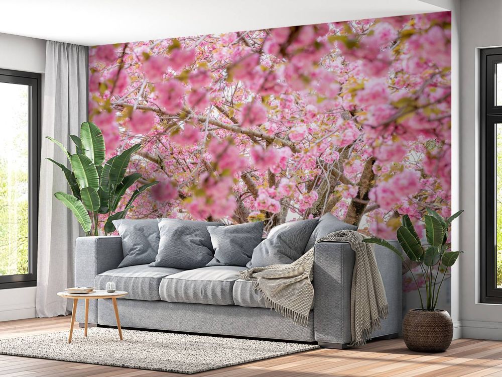 Bloesemboom