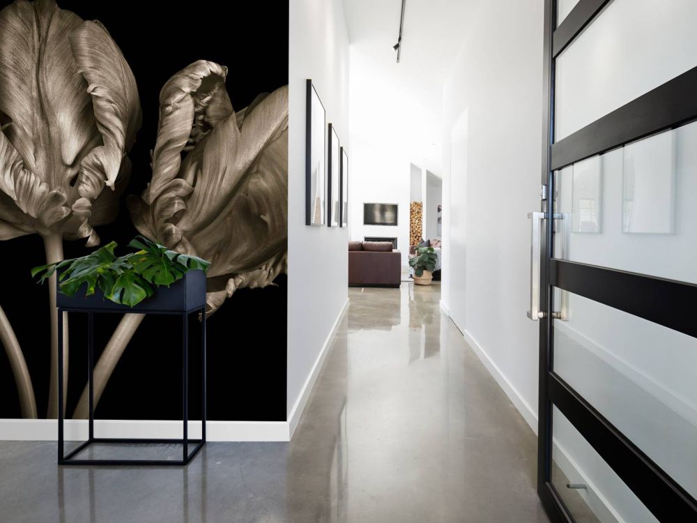 Drie Rococo tulpen