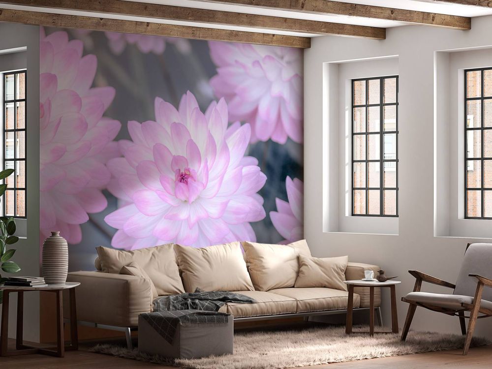 Dahlia bloemen roze