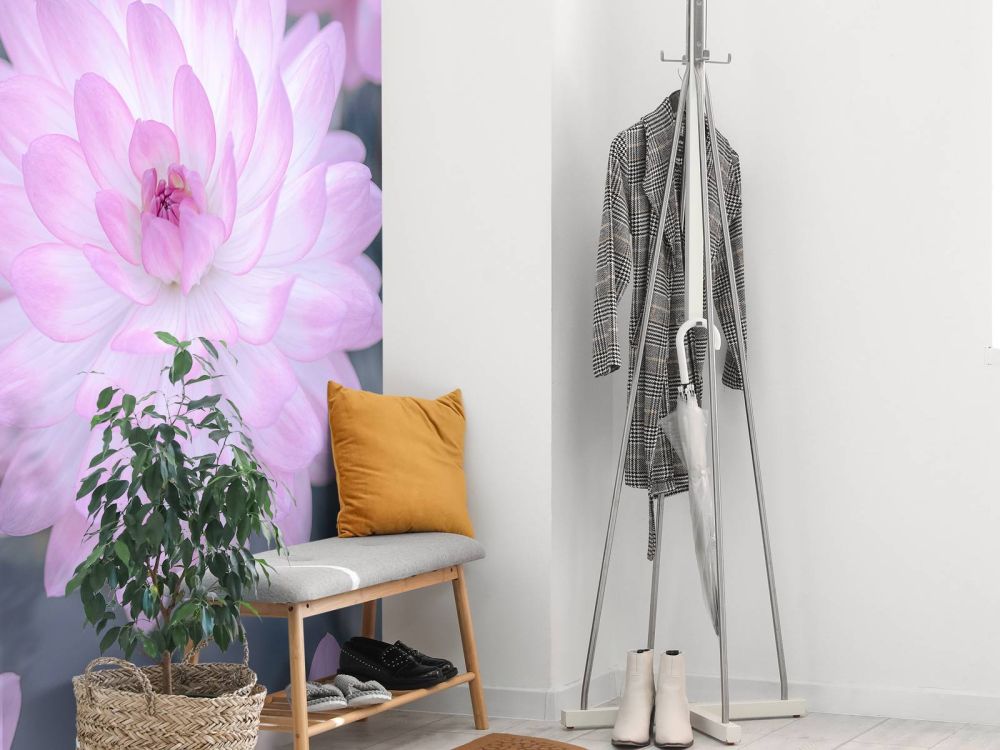 Dahlia bloemen roze