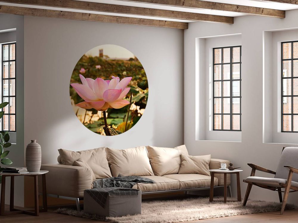 Roze lotusbloem