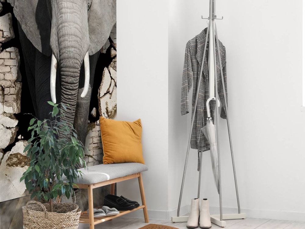 3D Olifant uit de muur