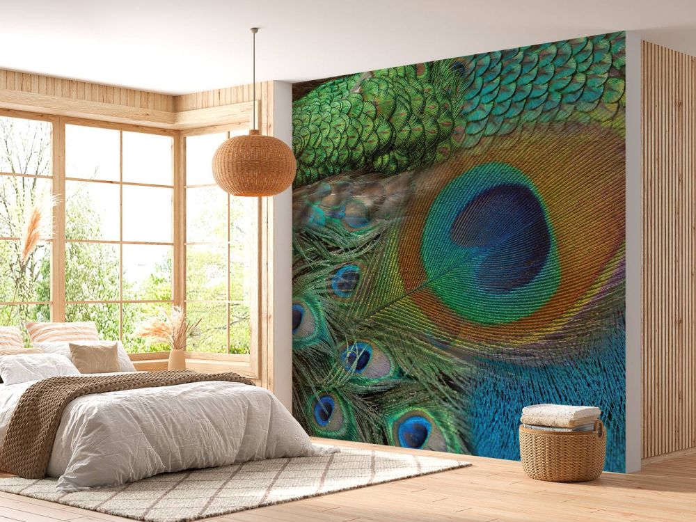 Pauwenveren op fotobehang