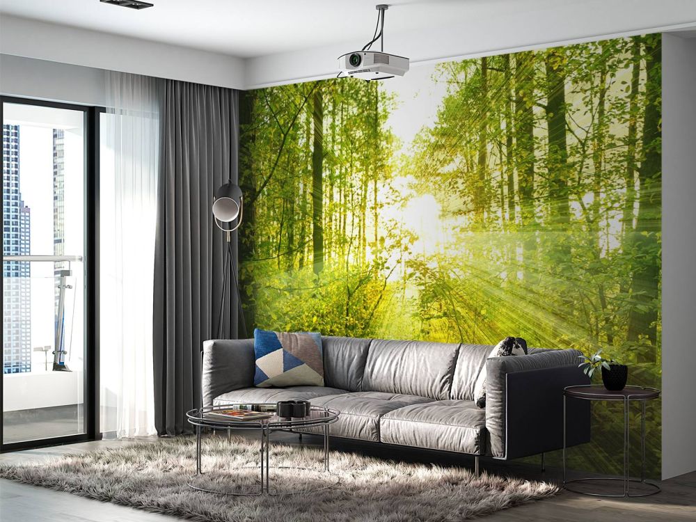 Zonnestralen in een groen bos