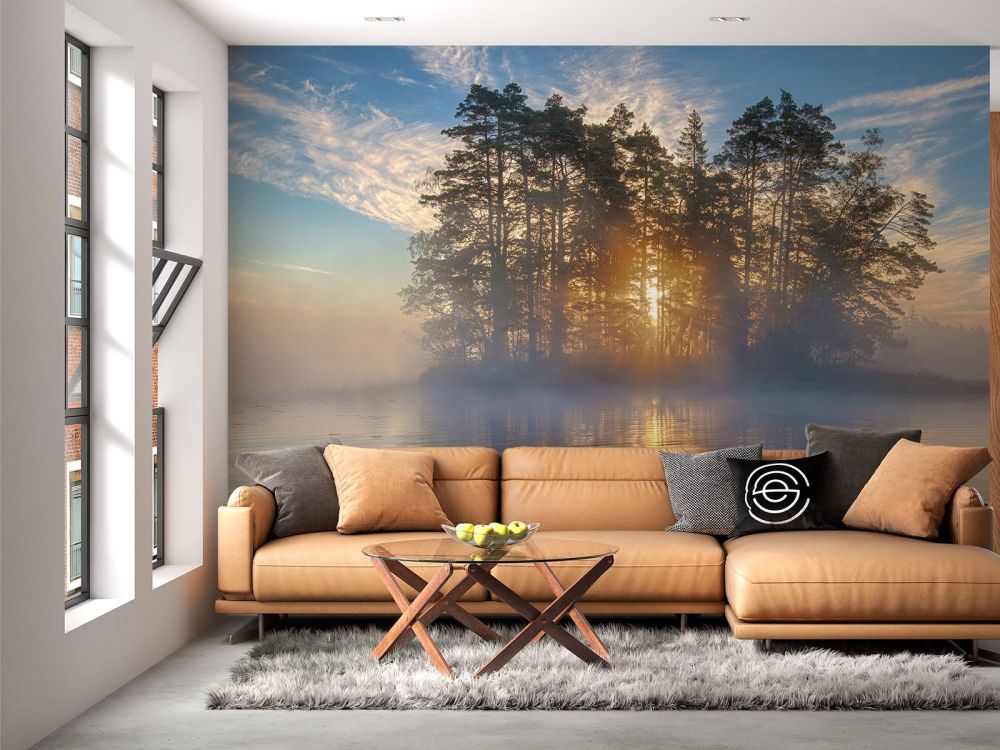 Morning light