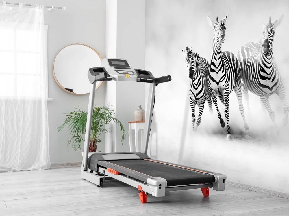 Zebras