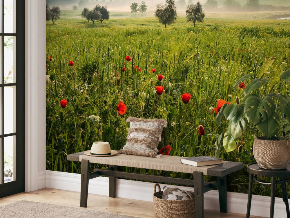 Tuscan spring