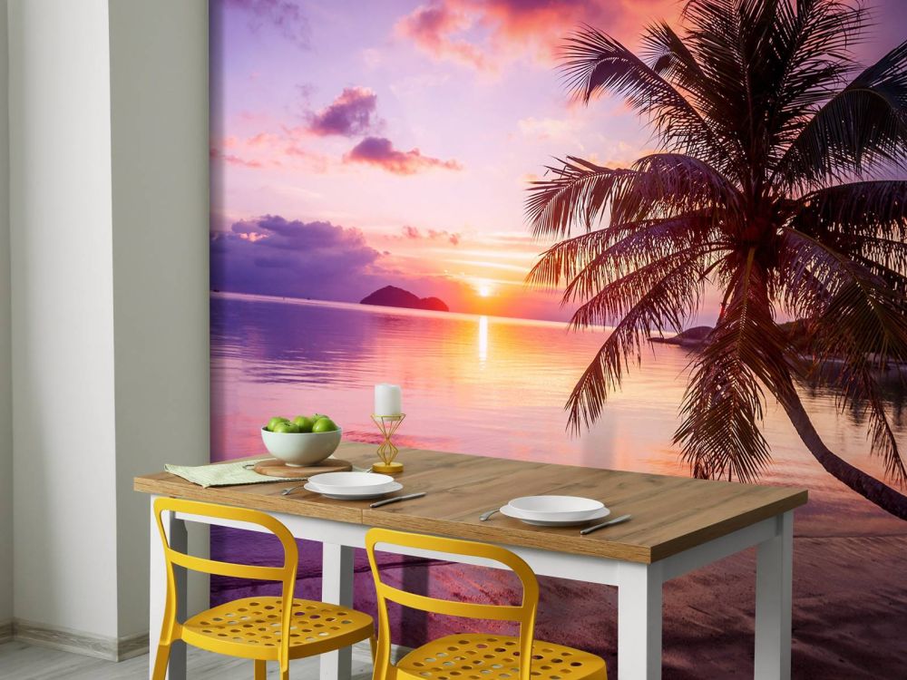 Palmboom bij een zonsondergang