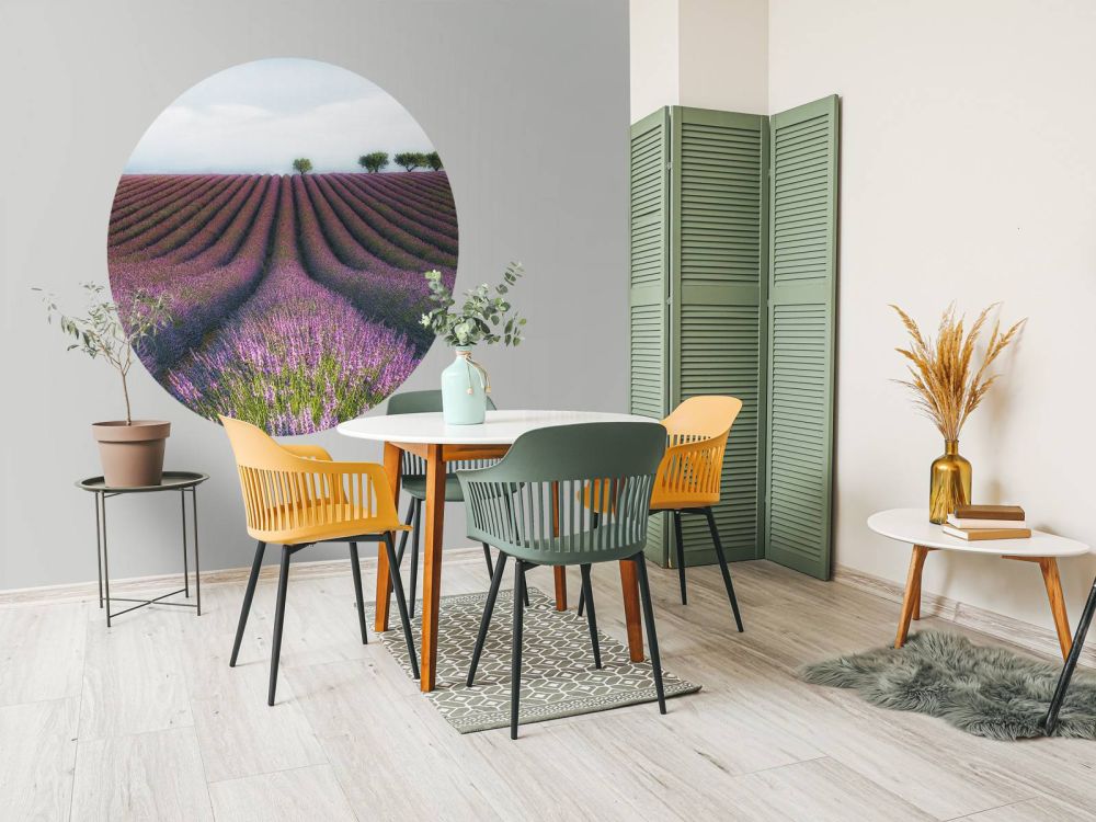 Velours de Lavender